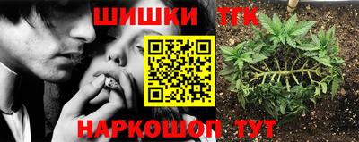 spice Аргун